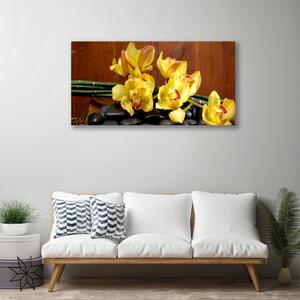 Quadro su tela Fiore di una pianta di orchidea 100x50 cm