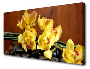 Quadro su tela Fiore di una pianta di orchidea 100x50 cm