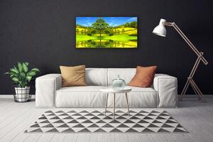 Stampa quadro su tela Natura dell'albero del prato 100x50 cm