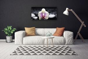Quadro stampa su tela Pianta dell'orchidea del fiore 100x50 cm