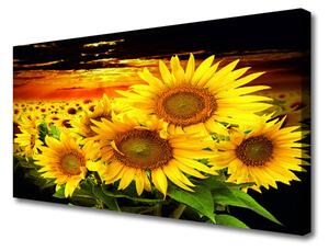 Quadro su tela Pianta di fiori di girasole 100x50 cm