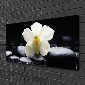 Quadro su tela Pianta dell'orchidea del fiore 100x50 cm