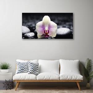 Quadro stampa su tela Pianta dell'orchidea del fiore 100x50 cm