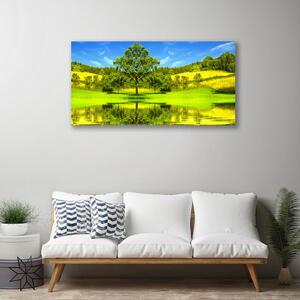Stampa quadro su tela Natura dell'albero del prato 100x50 cm