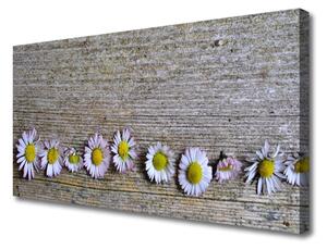 Quadro su tela Margherita, pianta, natura 100x50 cm