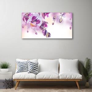 Foto quadro su tela Fiori, piante, natura 100x50 cm