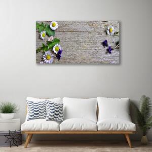 Stampa quadro su tela Margherita, pianta, natura 100x50 cm