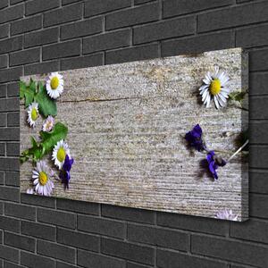 Stampa quadro su tela Margherita, pianta, natura 100x50 cm