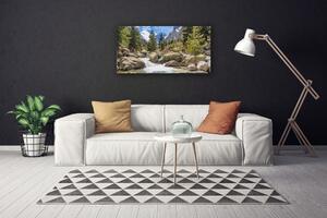 Stampa quadro su tela Fiume di pietre della foresta di montagna 100x50 cm