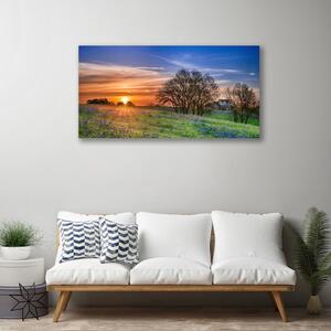 Quadro su tela Prato, sole, paesaggio 100x50 cm