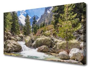 Stampa quadro su tela Fiume di pietre della foresta di montagna 100x50 cm
