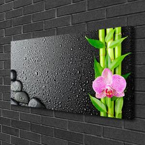 Quadro stampa su tela Stelo della pianta del fiore di bambù 100x50 cm