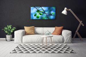 Foto quadro su tela Ramo di piante naturali Foglie 100x50 cm