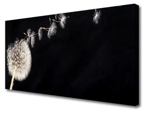 Quadro su tela Pianta di fiori di tarassaco 100x50 cm
