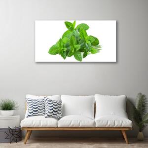 Quadro su tela Natura vegetale di menta 100x50 cm