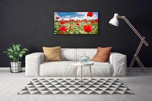 Quadro su tela Prato, fiori, natura 100x50 cm