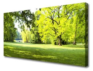 Quadro su tela Parco naturale degli alberi d'erba 100x50 cm
