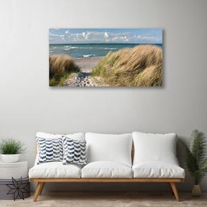 Stampa quadro su tela Paesaggio dell'erba del mare della spiaggia 100x50 cm