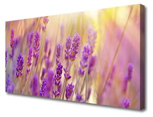 Stampa quadro su tela Fiori, piante, natura 100x50 cm