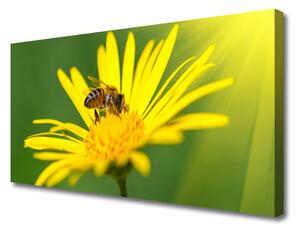 Quadro su tela Natura del fiore dell'ape 100x50 cm