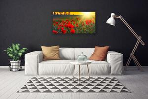 Foto quadro su tela Prato, papaveri, piante, natura 100x50 cm