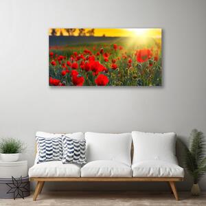 Foto quadro su tela Prato, papaveri, piante, natura 100x50 cm