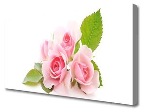 Quadro su tela Rose, fiori, piante, natura 100x50 cm