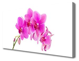 Quadro su tela Orchidea Fiore di orchidea 100x50 cm