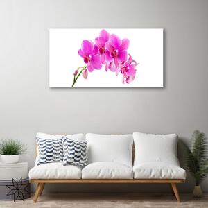 Quadro su tela Orchidea Fiore di orchidea 100x50 cm