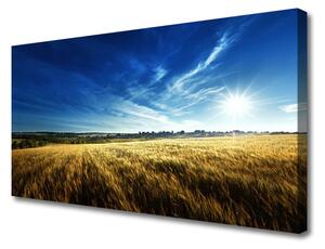 Quadro su tela Paesaggio del sole del campo di mais 100x50 cm
