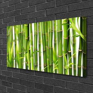 Quadro su tela Steli di bambù Foglie di bambù 100x50 cm