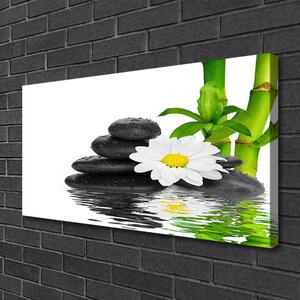 Stampa quadro su tela Steli di bambù Zen Stones 100x50 cm