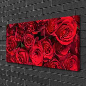 Quadro su tela Fiori della natura delle rose rosse 100x50 cm