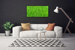 Quadro su tela Tappeto erboso dell'erba verde della natura 100x50 cm