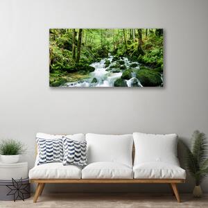 Stampa quadro su tela Fiume delle cascate di Las Potok 100x50 cm