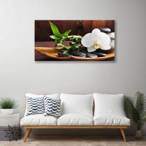 Quadro su tela Orchidea bianca di bambù Zen 100x50 cm