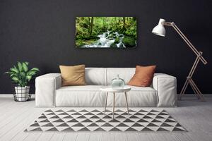 Stampa quadro su tela Fiume delle cascate di Las Potok 100x50 cm
