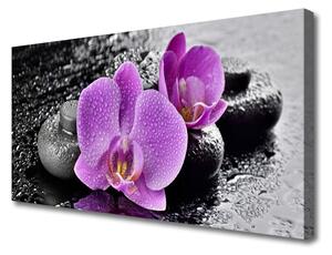 Quadro su tela Orchidea Fiori Orchidea Spa 100x50 cm
