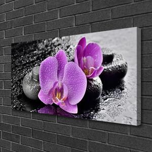 Quadro su tela Orchidea Fiori Orchidea Spa 100x50 cm