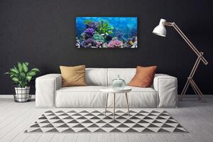 Foto quadro su tela Pesce sott'acqua acquario 100x50 cm