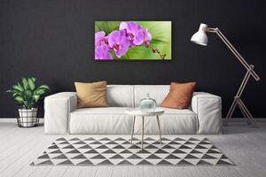 Foto quadro su tela Orchidea Fiori di orchidea 100x50 cm
