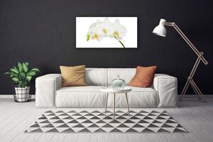Stampa quadro su tela Gambi di orchidea Fiori Natura 100x50 cm