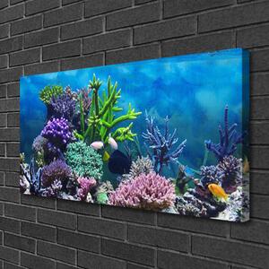 Foto quadro su tela Pesce sott'acqua acquario 100x50 cm