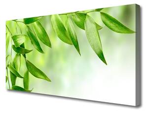 Quadro su tela Foglie verdi della natura 100x50 cm