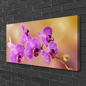 Foto quadro su tela Gambi di orchidea Fiori Natura 100x50 cm