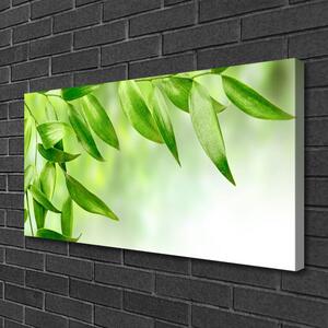 Quadro su tela Foglie verdi della natura 100x50 cm