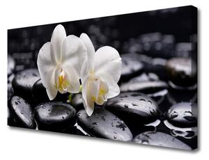 Quadro su tela Zen White Orchid Spa 100x50 cm