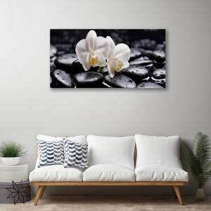 Quadro su tela Zen White Orchid Spa 100x50 cm