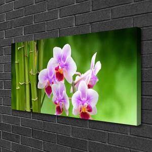 Quadro su tela Fiori Zen Orchidea Di Bambù 100x50 cm