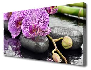 Quadro stampa su tela Orchidea Zen Orchidea Spa 100x50 cm
